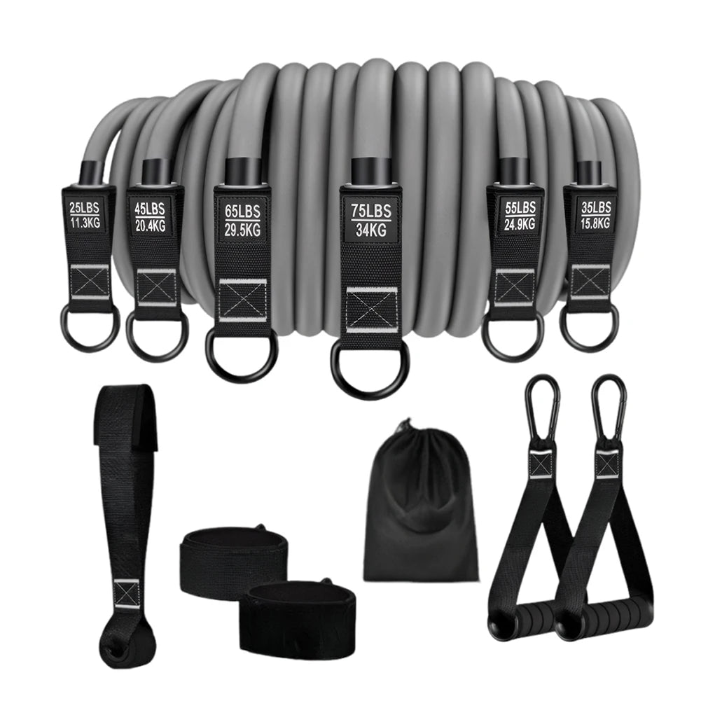 6-Pack Resistance Bands Set – 25–300 LB Strength Range – Natural Latex – Full-Body Strength Training