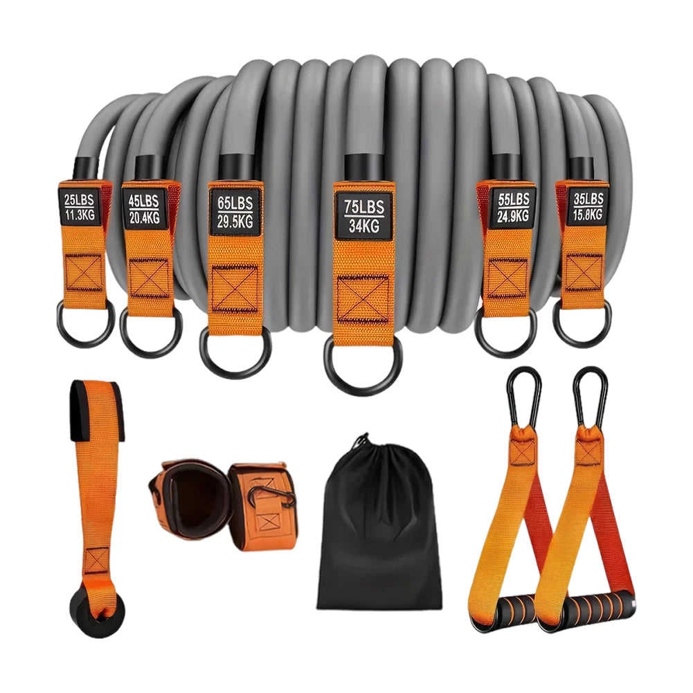 6-Pack Resistance Bands Set – 25–300 LB Strength Range – Natural Latex – Full-Body Strength Training