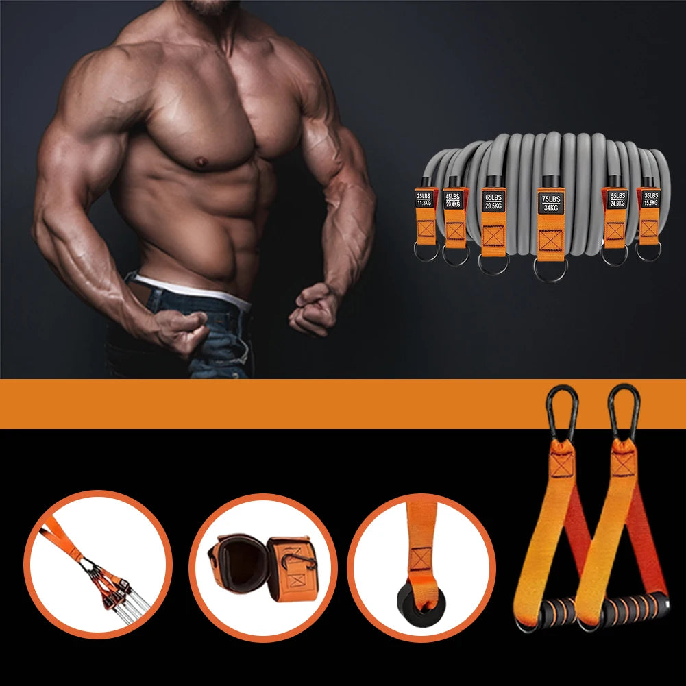 6-Pack Resistance Bands Set – 25–300 LB Strength Range – Natural Latex – Full-Body Strength Training